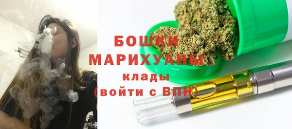 скорость Пестово